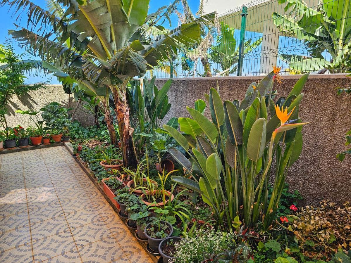 Casa De Feria Do Livramento Villa Funchal  Exterior foto